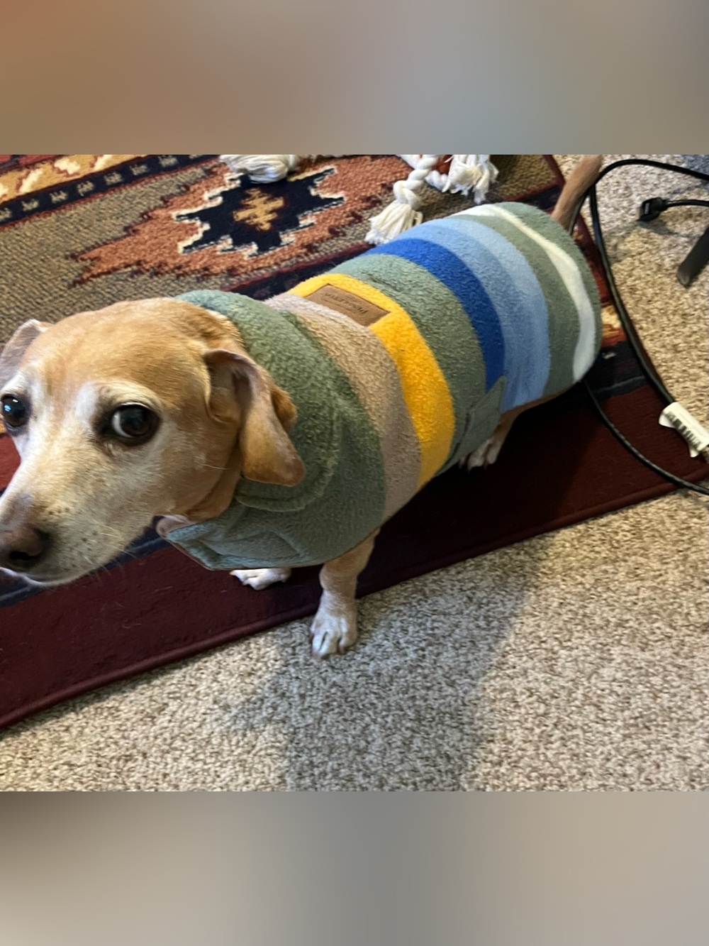 Pendleton Rocky Mountain Dog Coat Small